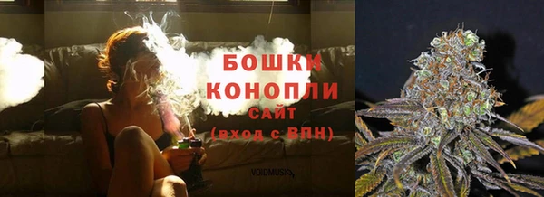 стафф Лабытнанги